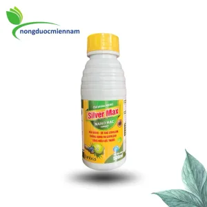 Thuốc trừ bệnh SILVER MAX (500ml) Rửa bông – Ức chế Ethylene Chống rụng do Ethylene Tăng hiệu lực thuốc