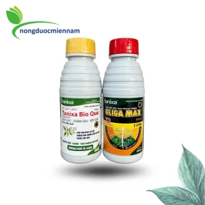 BỘ ĐÔI TANIXA Ngăn ngừa nấm bệnh OLIGO MAX GOLD - BIO QUE (500ml) - Chặn đứng cháy lá sầu riêng, cháy bìa lá lúa