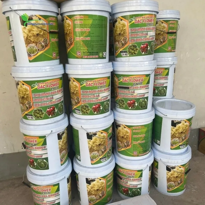 Cách dùng Xô tạo mầm gac flower 0-45-22