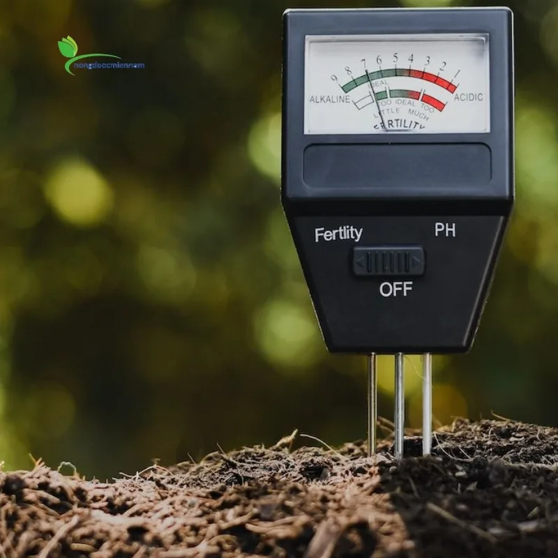 Đất pH thấp