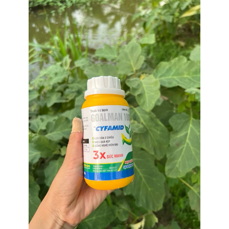 Thuốc trừ bệnh GOALMAN 100SC chai 240ml - Diet Nấm bệnh hiệu quả - An toàn cho bông và trái non - Ảnh 5