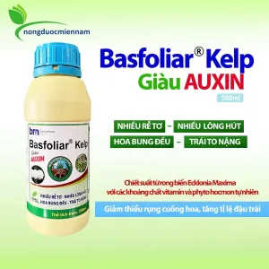 Phân bón lá BASFOLIAR KELP chai 500ml – Kích ra rễ tơ, nhiều lông hút, hoa bung đều, trái to nặng