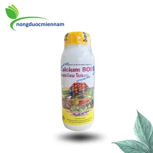 CALCIUM BORON -Phân bón lá vô cơ cần thiết giai đoạn trổ bông, đậu và nuôi trái. chai 500ml
