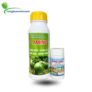 Bộ đôi PHÂN BÓN Lớn trái nhanh  AMINO STAR (500ml) +  RỒNG XANH (100ml) sử dụng cho 500L nước, giúp trái lớn đồng đều, xanh lá, mẫu trái đẹp
