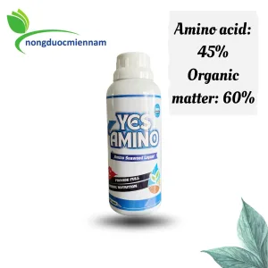 Phân bón lá hữu cơ YES AMINO & Rong biển dạng lỏng (500ml) Amino acid 45% xuất xứ Thổ Nhĩ Kỳ