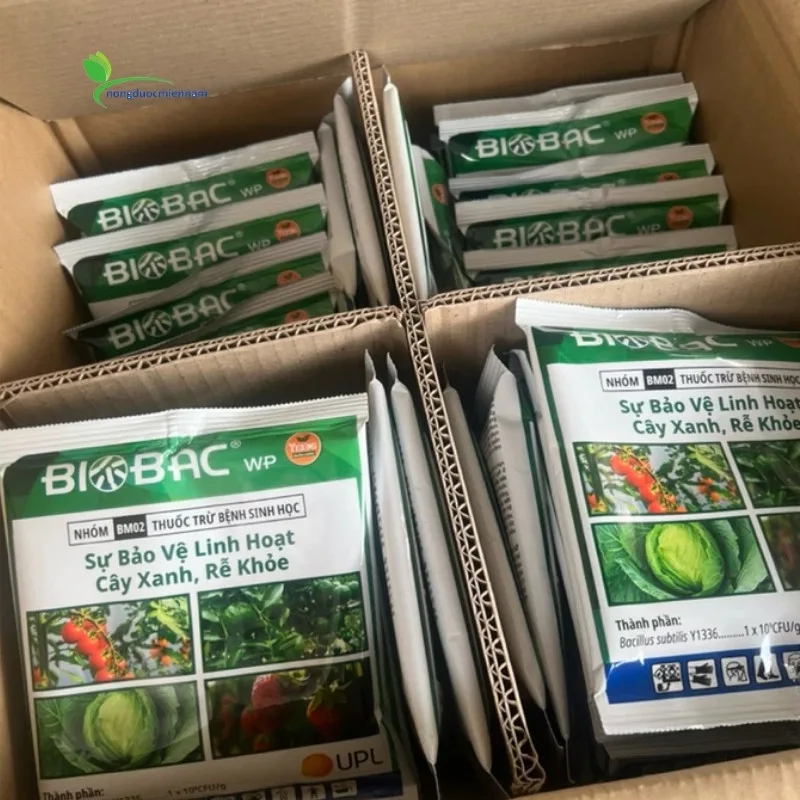 Thuốc trừ bệnh vi khuẩn BIOBAC