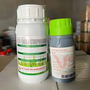 Alternative view of BỘ ĐÔI TẠO MẦM V5 + CHỐNG STRESS Việt Sang - Đòng to – Bông bự – Lúa trổ đều tăm tắp