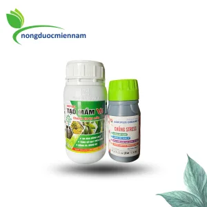 BỘ ĐÔI TẠO MẦM V5 + CHỐNG STRESS Việt Sang - Đòng to – Bông bự – Lúa trổ đều tăm tắp