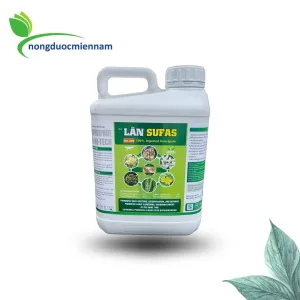Phân bón lá LÂN SUFAS (LÂN 40%) Can 5 Lít - Xuất xứ Tây Ban Nha - Giúp cây ra rễ mạnh, thúc đẩy mầm hoa, lá xanh dày, thích hợp giai đoạn chuẩn bị làm bông