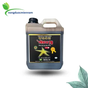 Phân bón lá VINCO 79 (4 LÍT) - Phân bón hữu cơ sinh học cao cấp Vinco 79  – Thần tài cho nhà nông