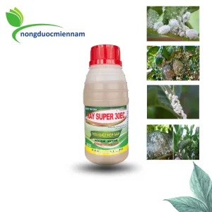 Thuốc trừ rệp sáp RAY SUPER 30EC chai 480ml - Tiêu diệt rệp sáp an toàn cho bông và trái non, không gây hại da trái, không bám trái, sạch rệp sau vài giờ