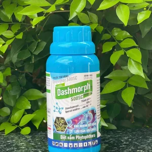 DASHMORPH 500SC (240ml) - Diệt nấm Phytophthora, khô nhanh vết bệnh