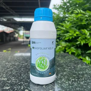 Alternative view of BASFOLIAR KELP- Công ty BM. Chất điều hòa sinh học tự nhiên, vitamin cho cây trồng.
