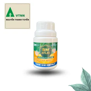Thuốc trừ nấm bệnh NBC-VIXLET 48SC - 2 hoạt chất  chuyên trị nấm thối trái, khô bông, sương mai, thán thư đốm ghẻ.