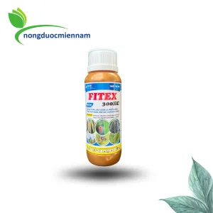 FITEX 300EC -Sâu đục thân, sâu cuốn lá, muỗi hành, bọ trĩ, ruồi vàng, rệp sáp, đuổi chuột.