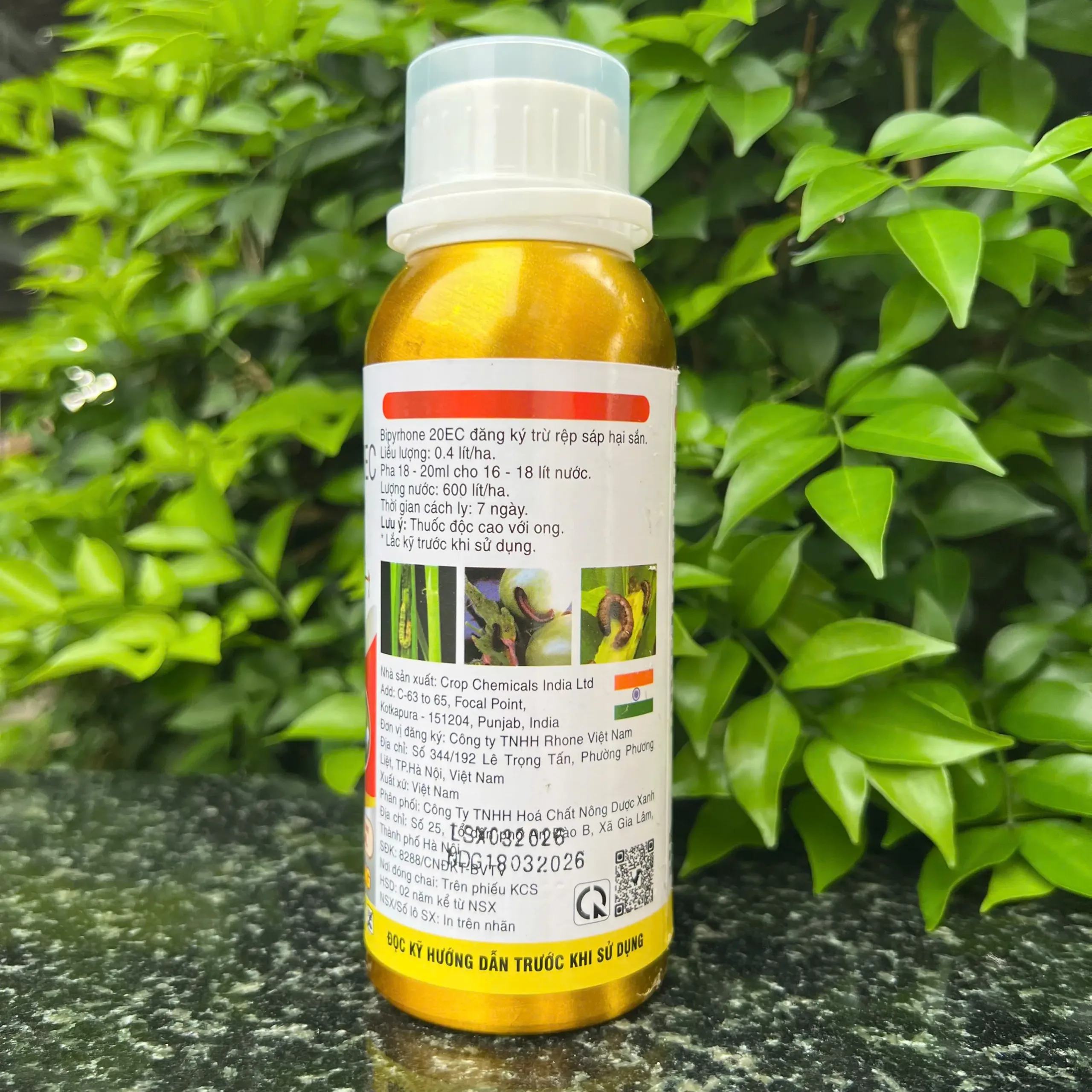 Thuốc trừ sâu Vua rệp sáp BIPYRHONE 20EC chai 240ml - Ảnh 3